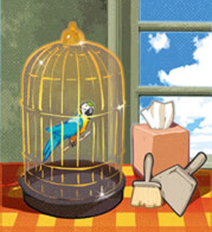 web recadr Krobs Animaux Perroquet Coul