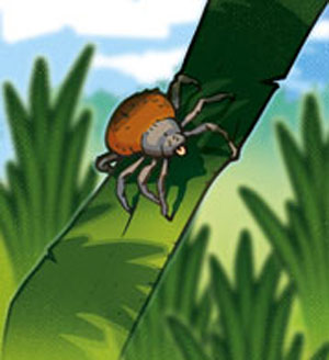 web recadr Krobs Nature Maladies 01 Coul