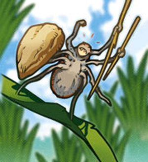 web recadr Krobs Nature Maladies 04b Coul
